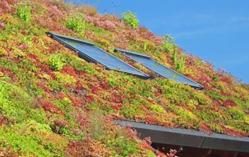 Irby In The Marsh living roof systems