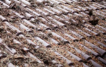 Irby In The Marsh roof cleaning companies