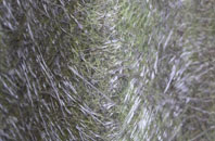 Irby In The Marsh fibreglass roof work